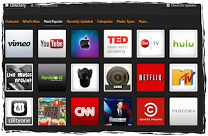 Plex Media Server 1.32.5.7328 instal